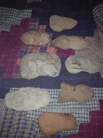image-389963944.webp