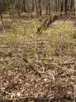 image-3445014432.webp