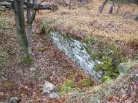 DSCF2565.webp