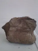 2013-03-01 11.50.27.webp
