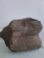 2013-03-01 11.50.17.webp