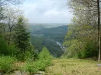 OVERLOOKING KEATING.webp