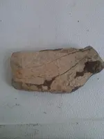 2013-03-01 11.42.02.webp