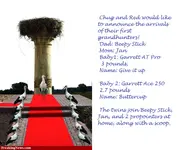 Queen-Stork---79181.webp