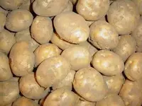 Potato.webp