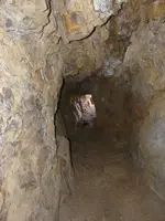 307341_4996284316835_271013440_n.webp