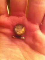gold funde 595.webp