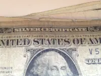 Silver Dollar.webp