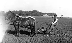 seed_planter.webp