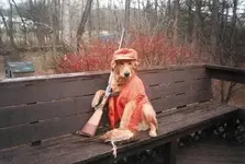 dog_gun.webp dog_gun.webp