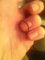 ring funde 611.webp