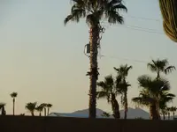 Sunset.webp