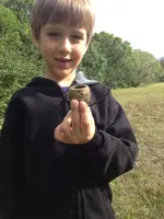 image-677562887.webp