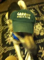 image-2277176892.webp