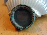 eyepiece.webp eyepiece.webp