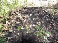 trash-pit-oyster-shells.webp trash-pit-oyster-shells.webp