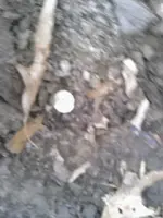 ForumRunner_20130326_195900.webp