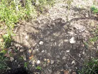 trash-pit-oyster-shells-2.webp trash-pit-oyster-shells-2.webp
