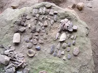 DSCF2691.webp