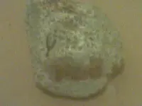 IMAG0022.webp
