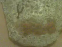 IMAG0023.webp