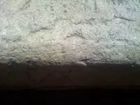 ollie's stone 007.webp