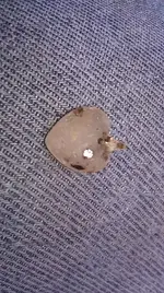 IMAG0840.webp IMAG0840.webp