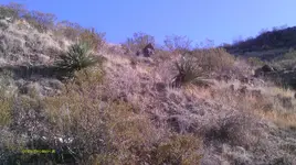 IMAG1132.webp