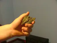 dicks field finds 008.webp