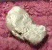 sord 007.webp