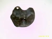 DSCF0003.webp