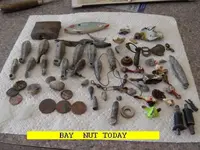 0307NUT.webp