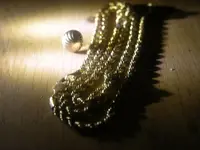 DSCN5636.webp
