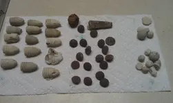 4-5-13stuff.webp