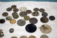 Half Dollars (1).webp
