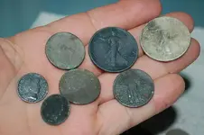 Half Dollars (2).webp