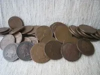 IMG_0129.webp IMG_0129.webp