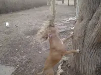 20130302_173458.webp