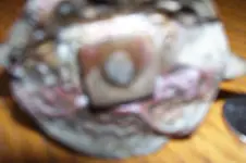 100_3797.webp
