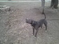 20130302_170453(0).webp