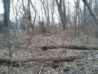 unknown ruins.webp