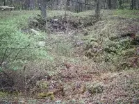 DSCF2599.webp