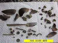 0326NUT.webp