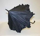 Parasol MetMuseumArt2.webp