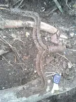 20130411_173735.webp
