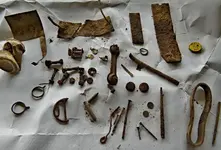 Finds-001.webp