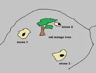 4.webp