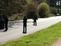 brave man1.webp