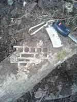 20130411_174104.webp 20130411_174104.webp