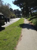 lonely car1.webp